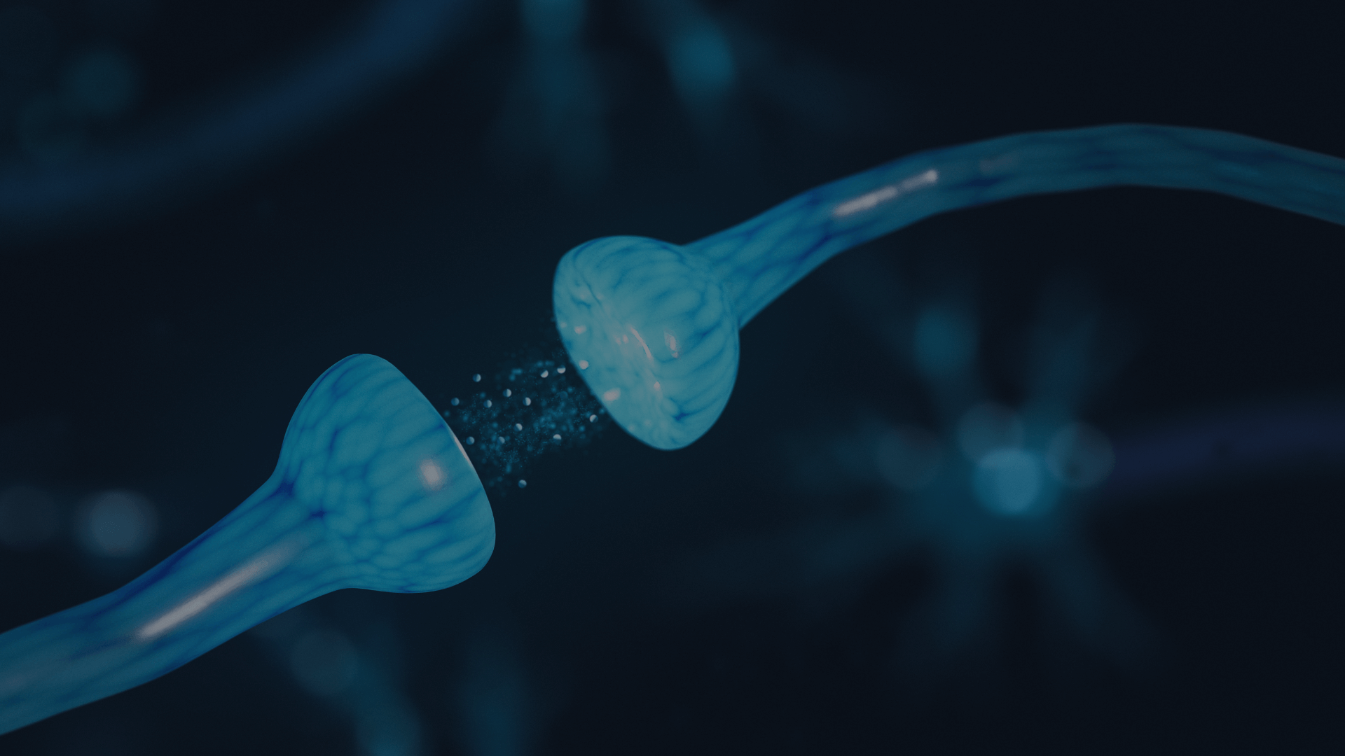 Sistema de Recompensa e Motivação Humana